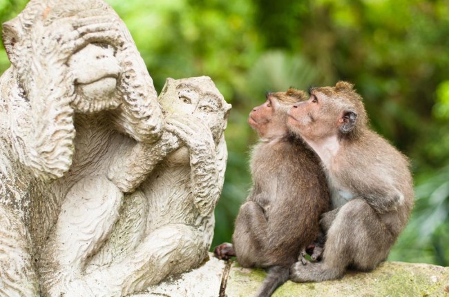 статую обязьян и 2 живые обезьянки куда-то испуганно уставились